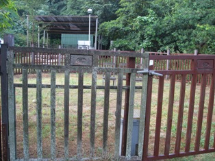 7.JPG