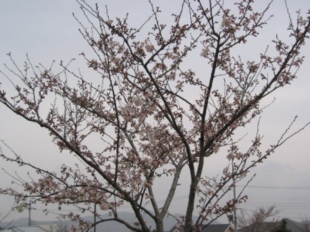 0704017.jpg